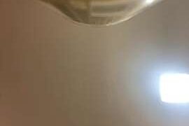 Teila21 naked stripping on cam for live sex video chat