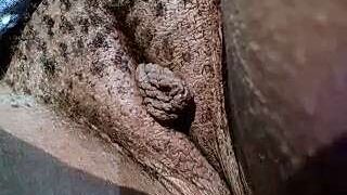 Kitty_dollyX naked stripping on cam for live sex video chat