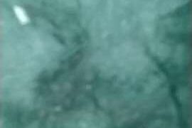 missofty2 naked stripping on cam for live sex video chat