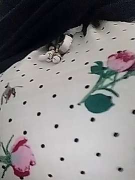 vicky__hot naked stripping on cam for live sex video chat