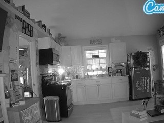 Voyeurcam-bridgetleewalters-01 nude on cam – live sex chat