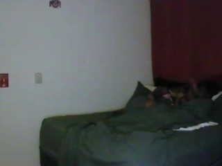 NOT JADED ARE ROOM /420 KEEP GOI nude on cam – live sex chat