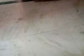 PriyaJaanu naked stripping on cam for live sex video chat