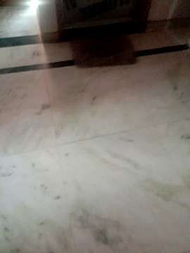 PriyaJaanu naked stripping on cam for live sex video chat