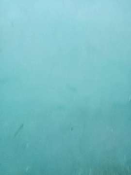 Latasha18 naked stripping on cam for live sex video chat