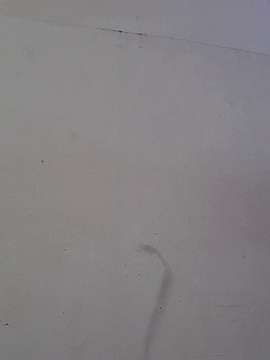 WHAAATTTTTTTTTT naked stripping on cam for live sex video chat