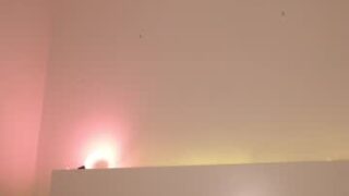nude before webcam – Live Sex Chat