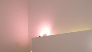 nude before webcam – Live Sex Chat