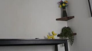 nude before webcam – Live Sex Chat