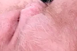 Lena_Marie21 nude strip on webcam for live sex video chat