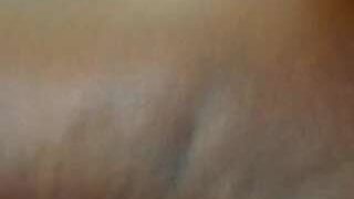 Bbw-ebony nude on live sex chat