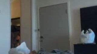 Amiyadenae nude on live sex chat