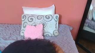 Hornyyariadna nude on live sex chat