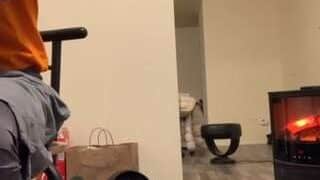 WeberShnake nude on live sex chat