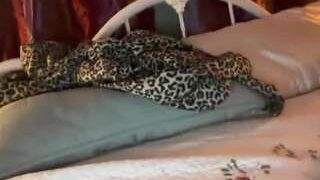 Bluethevirgo nude on live sex chat