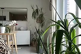 Missexhibcurvy naked strip on webcam for live sex chat