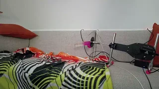 Little-Aylin naked strip on webcam for live sex chat