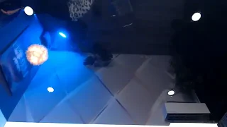 OksanaOcean naked strip on webcam for live sex chat