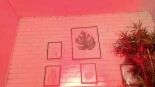 ValNeeko nude on live sex chat