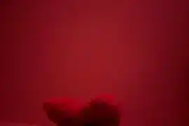 YoungLeo2006 naked strip on webcam for live sex chat