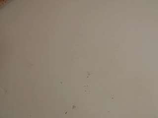 Mirandaoconorx nude on live sex chat