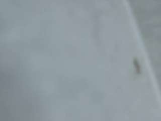 Melonsboobss nude on live sex chat