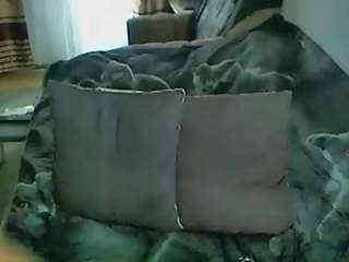 Lana nude on live sex chat