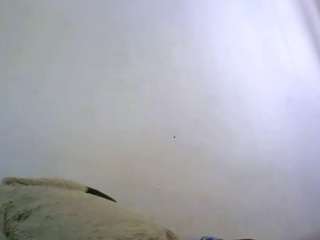 KataPuzzle nude on live sex chat