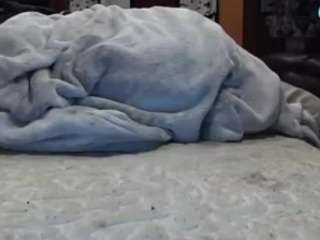 Whyou12 nude on live sex chat