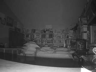 Voyeurcam bridgetleewalters 02 nude on live sex chat