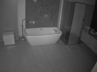 Casa Salsa Bathroom 4 nude on live sex chat