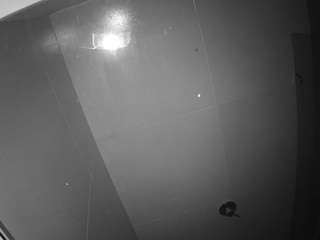 Voyeurcam casa salsa bathroom 10 nude on live sex chat